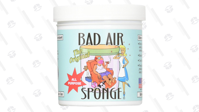 Similar to active charcoal, the Bad Air Sponge is a passive odor reducer that you set in a smelly room. Then, just sit back and let it work its magic.